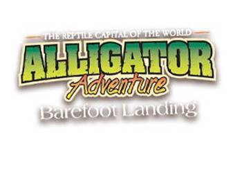 alligator adventure