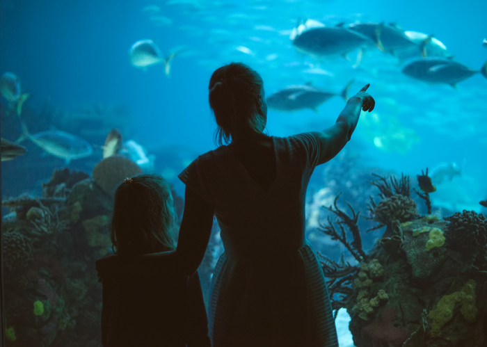 A mother and daughter admire the aquarium A mother and daughter admire the aquarium